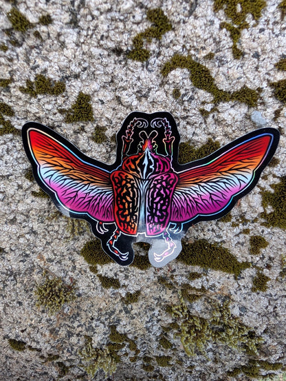Lesbian Pride Flag Holographic Goliath Beetle Sticker