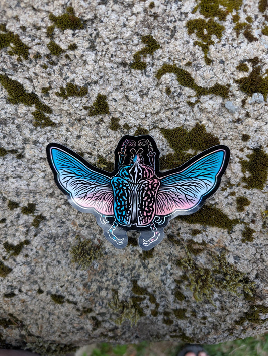 Trans Pride Flag Holographic Goliath Beetle Sticker
