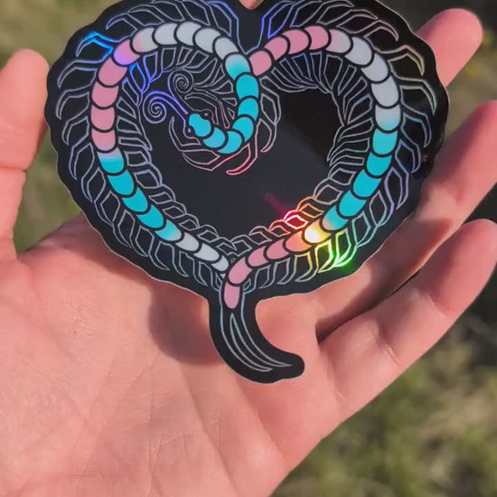 Trans Pride Flag Holographic Centipede Heart Sticker