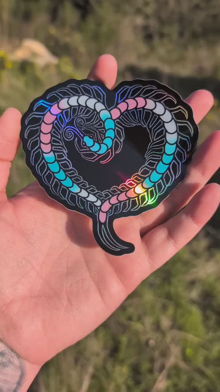 Trans Pride Flag Holographic Centipede Heart Sticker