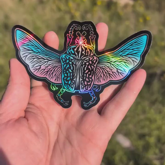 Trans Pride Flag Holographic Goliath Beetle Sticker