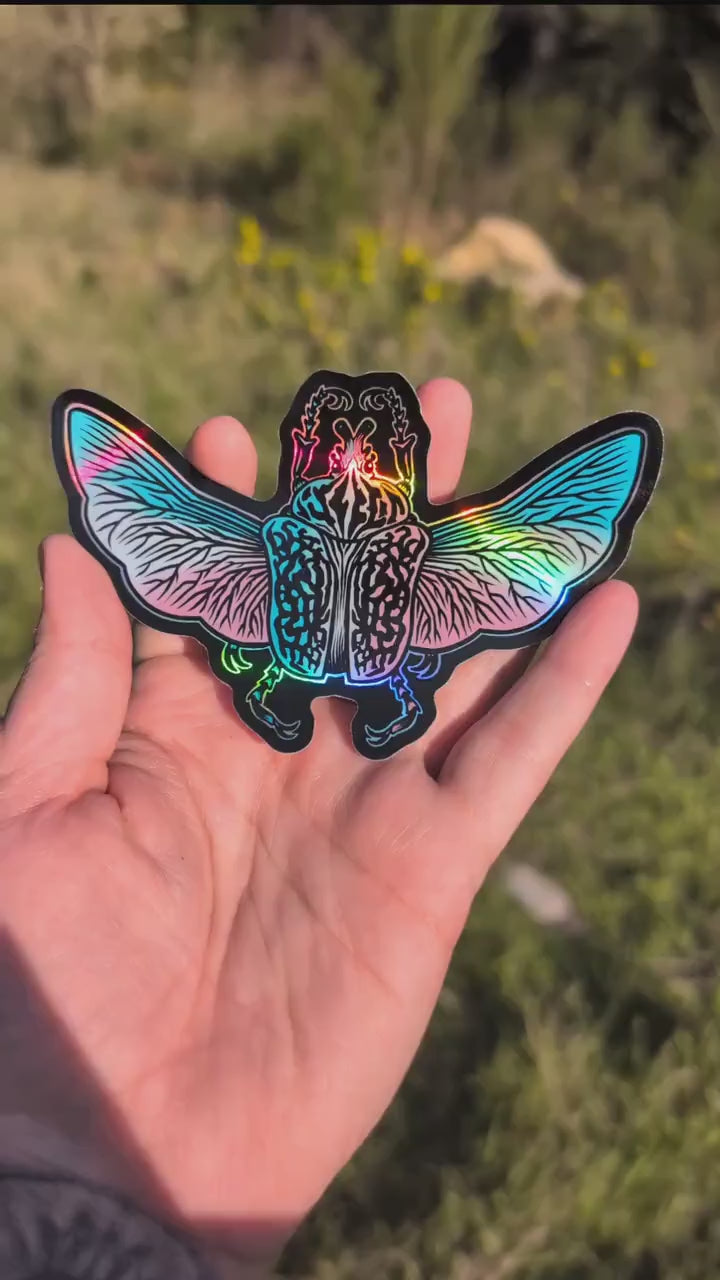 Trans Pride Flag Holographic Goliath Beetle Sticker