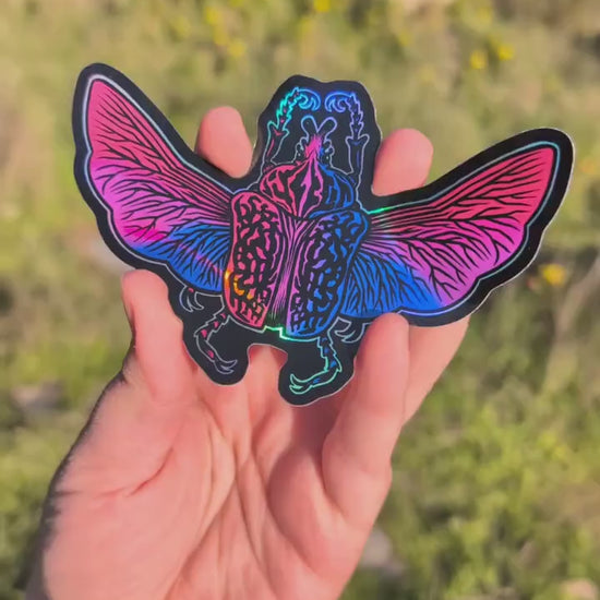 Bisexual Pride Flag Holographic Goliath Beetle Sticker