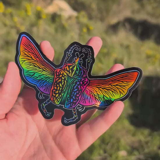 Gay Pride Flag Holographic Goliath Beetle Sticker