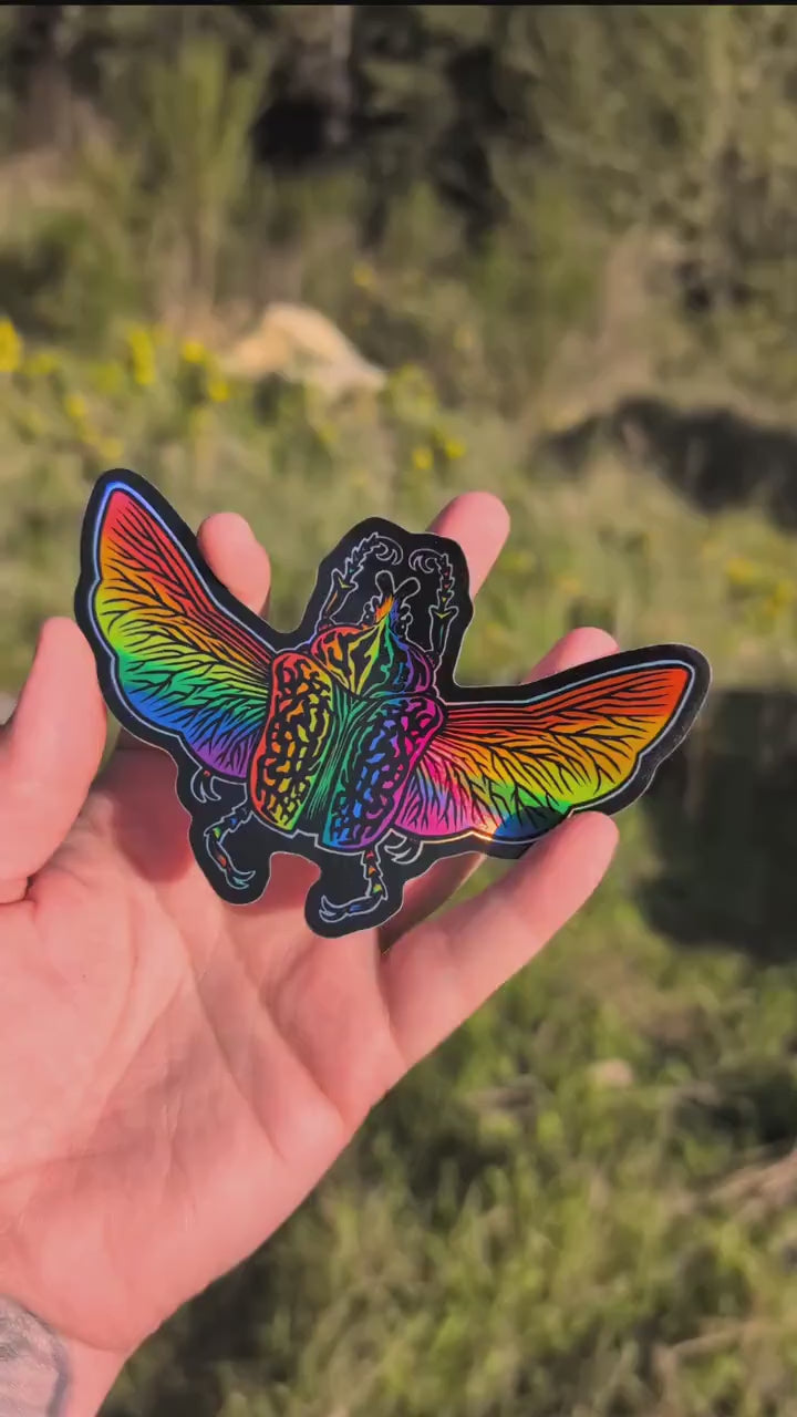 Gay Pride Flag Holographic Goliath Beetle Sticker